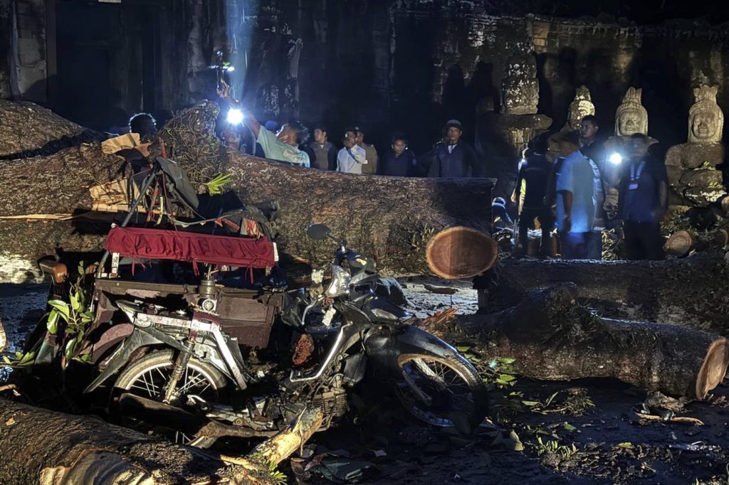 Fierce Storm Topples Tree at Cambodia’s Angkor Temple Complex