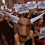 Animal Rights Activists to Protest Bullfighting: A Growing Movement Against Tradition