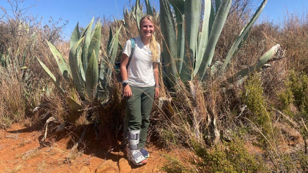 American Hiker Found Dead on South Africa’s Table Mountain: A Tragic Discovery