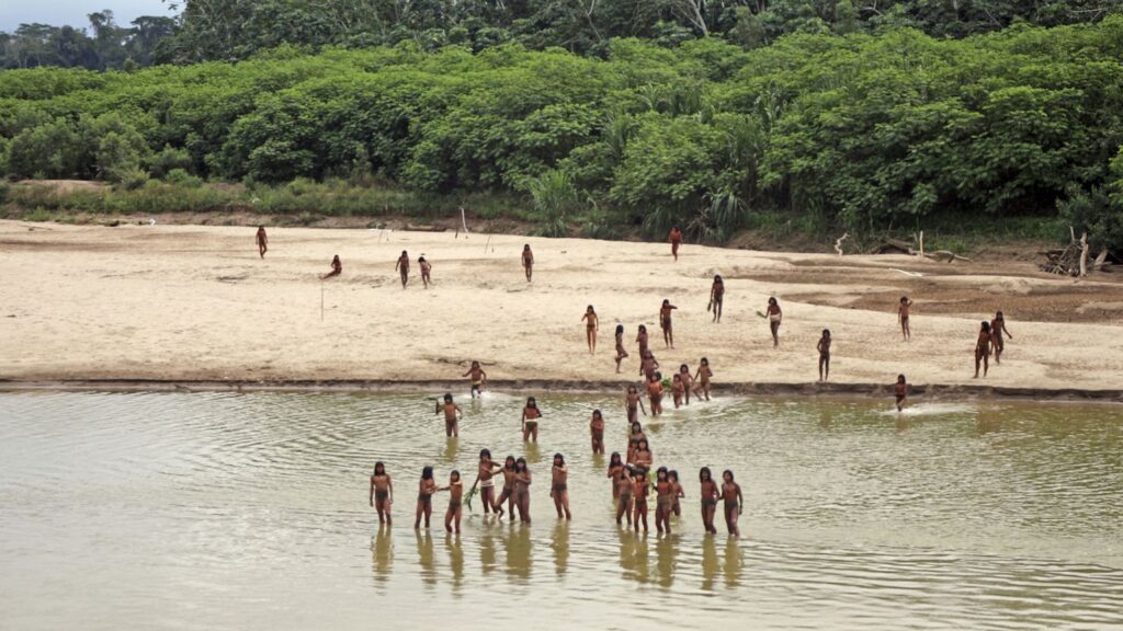 Remote Indigenous Tribe Kills Two Loggers Encroaching on Their Land in Peru